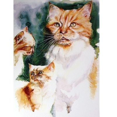 The Ginger Tom Blank Cards 6 Pk 5 x 7