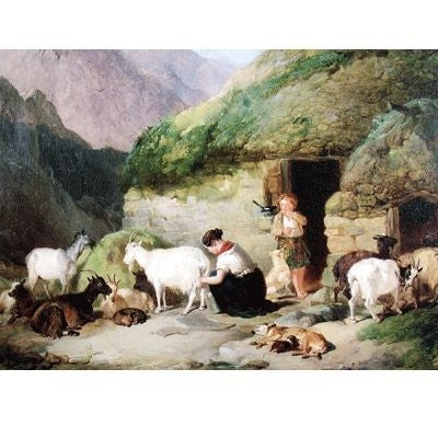 The Goat Herd Blank Cards 6 Pk 5 x 7