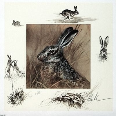 The Hare By Mick Cawston 10.5 x 10.5