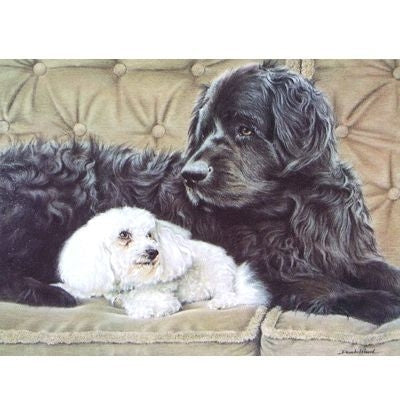 The Nanny Newfoundland and Bichon Cards 6 Pk 5 x 7