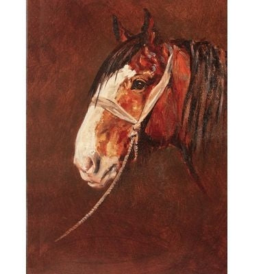 The Old Fellah Draft Horse Blank Cards 6 Pk 5 x 7