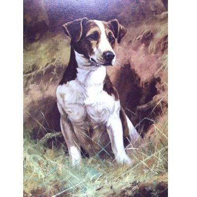 The Opportunist Jack Russell Blank Cards 6Pk 5 x 7