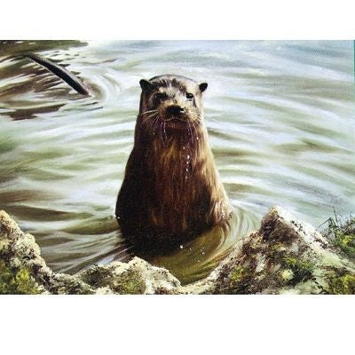 The Otter Blank Cards 6 Pk 5 x 7