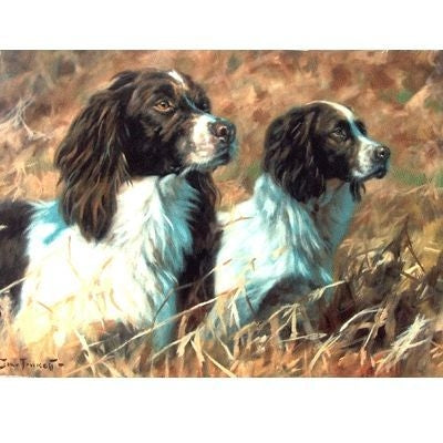 The Partnership English Springer Cards 6 Pk 5 x 7