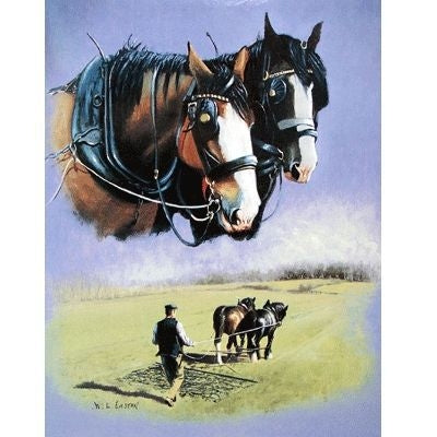 The Ploughmans Pal Draft Horse Cards 6 Pk 5 x 7