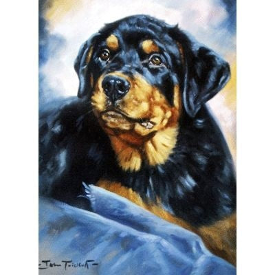 The Rottweiler Blank Cards 6 Pk 5 x 7