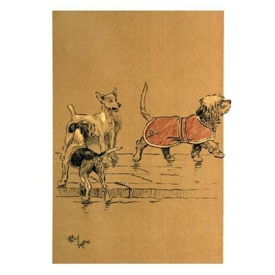 The Snob Beagle Blank Cards 6 Pk 5 x 7