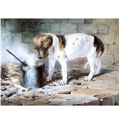 The Watched Pot Puppy Blank Cards 6 Pk 5 x 7