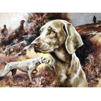 The Weimaraner Blank Cards 6 Pk 5 x 7