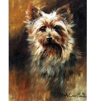 The Yorkie By Mick Cawston 6.25 x 8.25