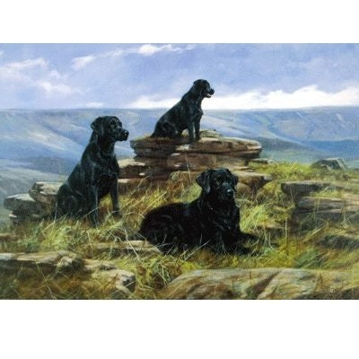 Three is a Crowd Labrador Retrievers Card 6Pk 5x7