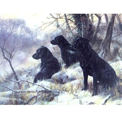 Three Wise Men Labrador Retrievers Card 6Pk 5 x 7