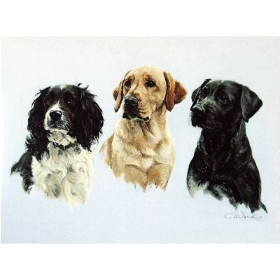 Three Wise Men Labradors and Springer Card 6Pk 5x7