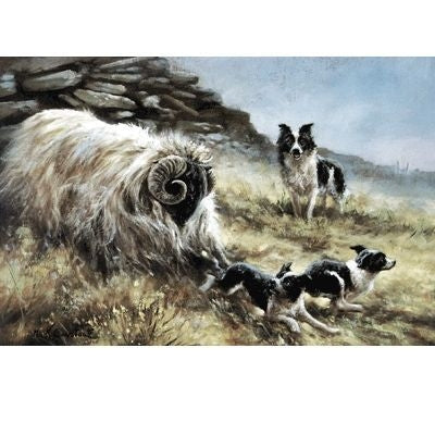 Too Much Too Soon By Mick Cawston 10.75 x 7.25
