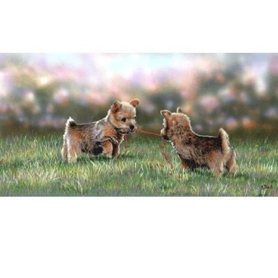 Tug of Love By Paul Doyle 4.75 x 9 1/8