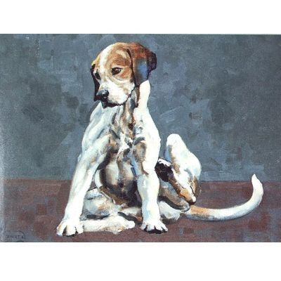 Turning Em Over Foxhound Blank Cards 6 Pk 5 x 7
