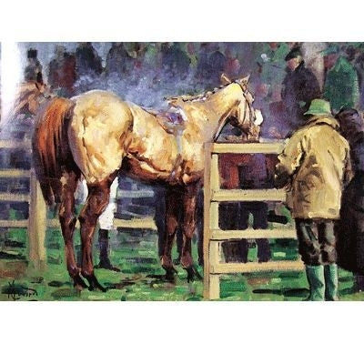 Unsaddling Enclosure Horse Racing Cards 6 Pk 5 x 7