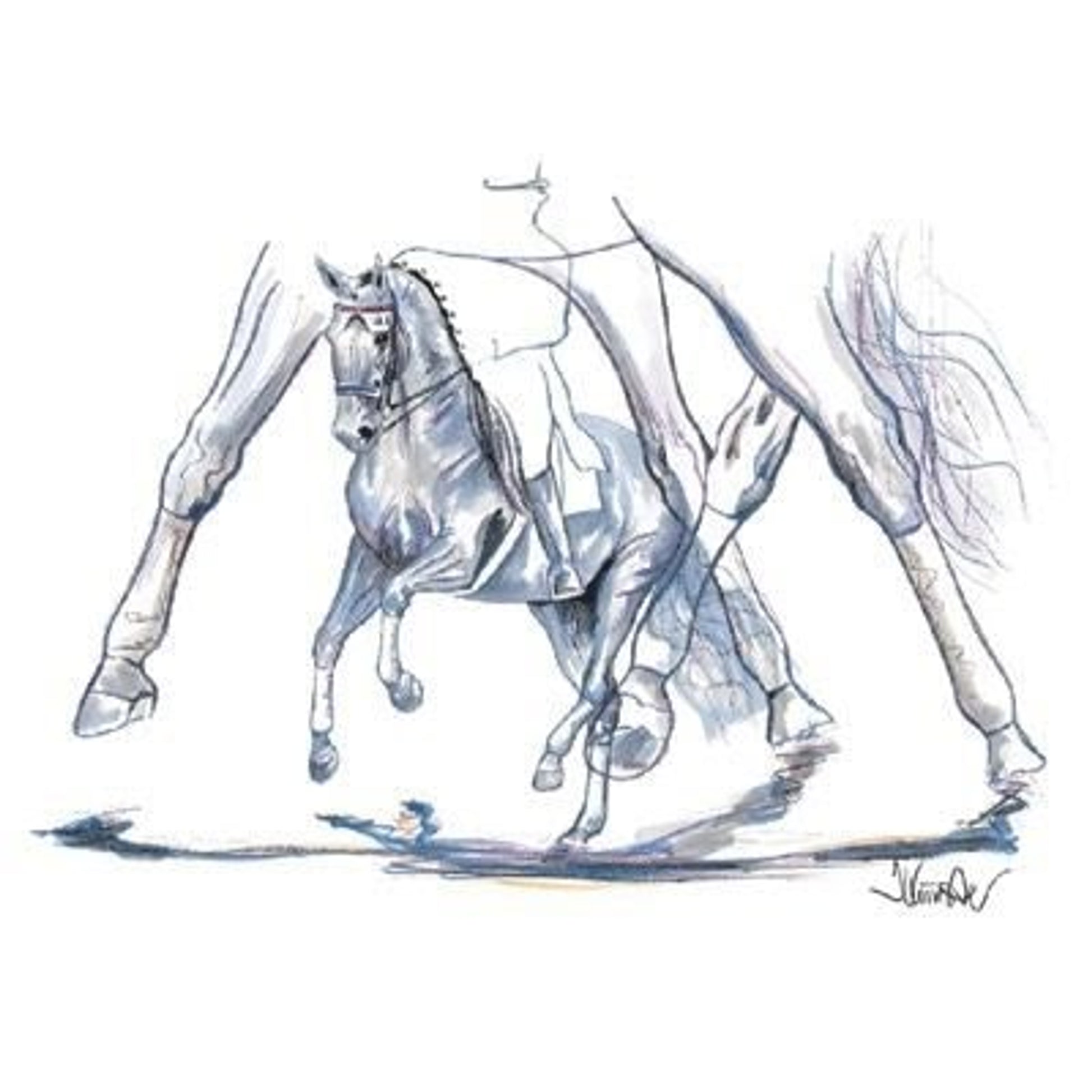 Venezia Dressage By Jan Kunster Matted 7.75x11.75