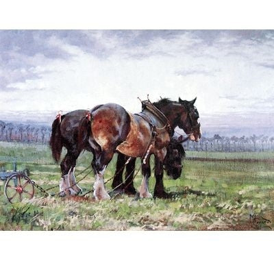 Waiting to Work DraftHorse Blank GreetCard-6pk 5x7