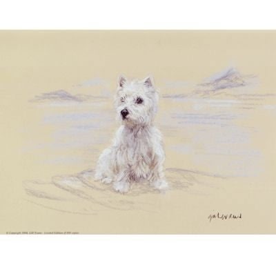 West Highland Sitting By Gill Evans 12.75 x 10.75