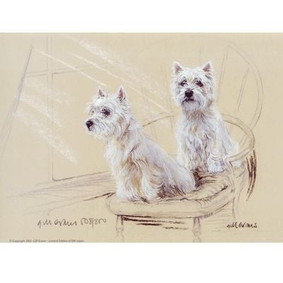 West Highland Terriers By Gill Evans 12.75 x 10.75