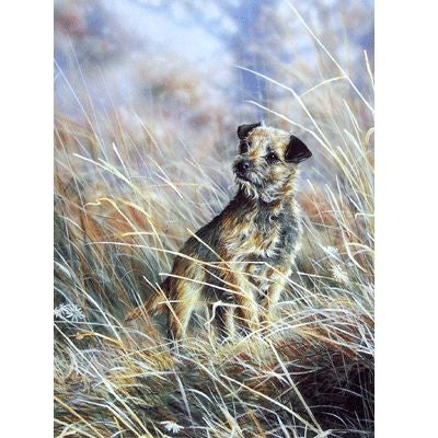 Where Border Terrier Blank Cards 6 Pk 5 x 7