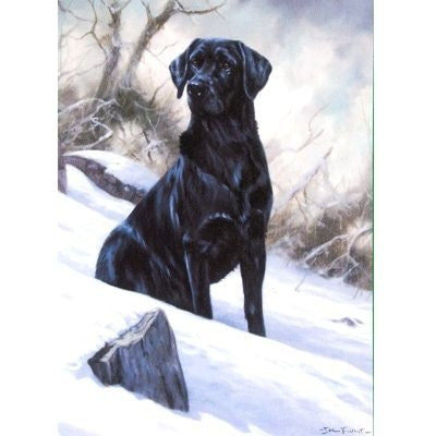 Winter Boy Labrador Retriever Cards 6 Pk 5 x 7