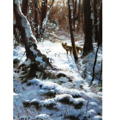 Winter Fox Blank Cards 6 Pk 5 x 7