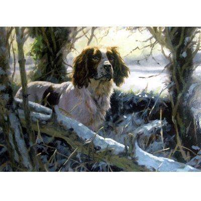 Winters Morning English Springer Cards 6 Pk 5 x 7