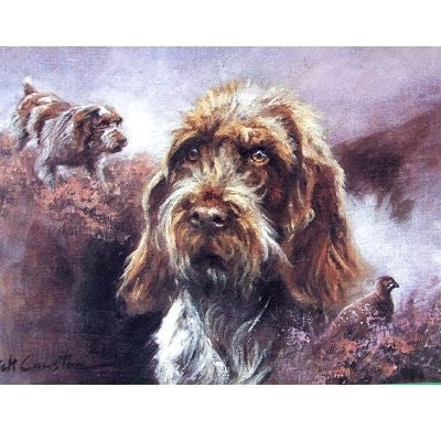 Wirehaired German Pointer Blank Cards 6 Pk 5 x 7
