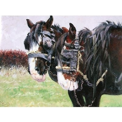 Workers Draft Horse Blank Cards 6 Pk 5 x 7