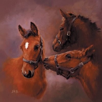Youth By Jacqueline Stanhope 9.75 x 9.75