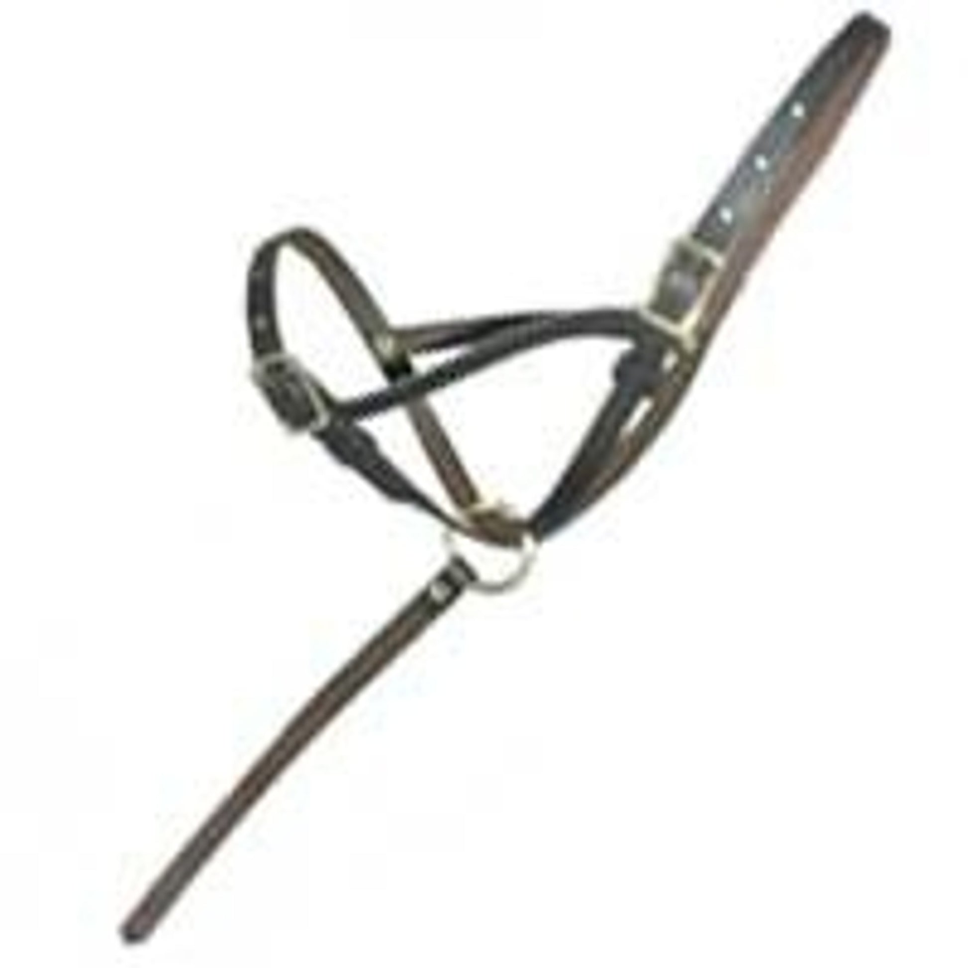 Leather Foal Slip with Grab Strap