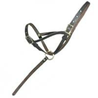 Leather Foal Slip with Grab Strap