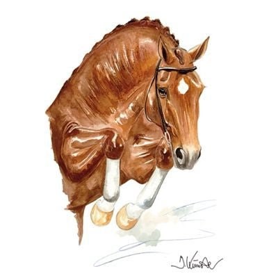 Jan Kunster Hrs Print-Salsa Show Jumper 19.75x27.5