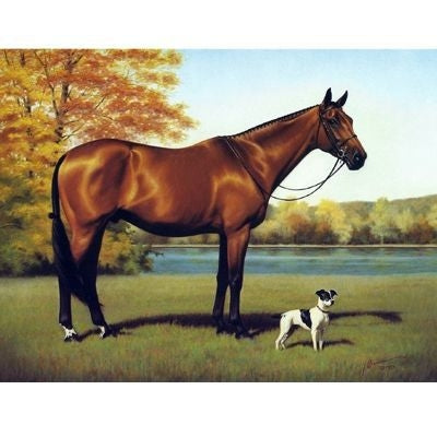 Horses - Aristocrats - 6 Pack 6 Pack
