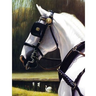 Horses - Four Swans - 6 Pack 6 Pack