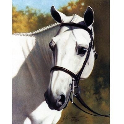Horses - A Familiar Voice - 6 Pack 6 Pack