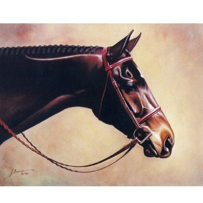 Horses Elegance 6 Pack 6 Pack