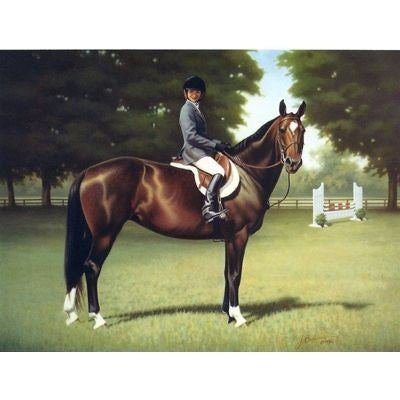 Horses - Junior Hunter - 6 Pack 6 Pack