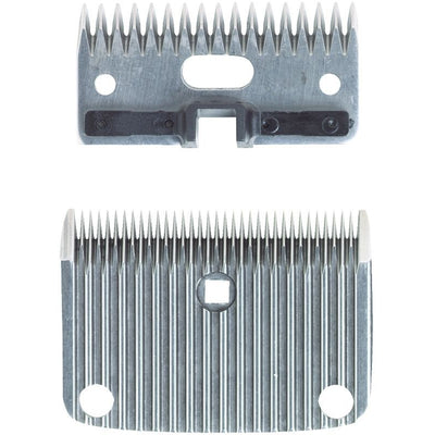 TH886400.jpg