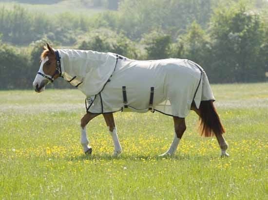 Maxi-Flow Fly Sheet 69 White Blue/Green Stripe