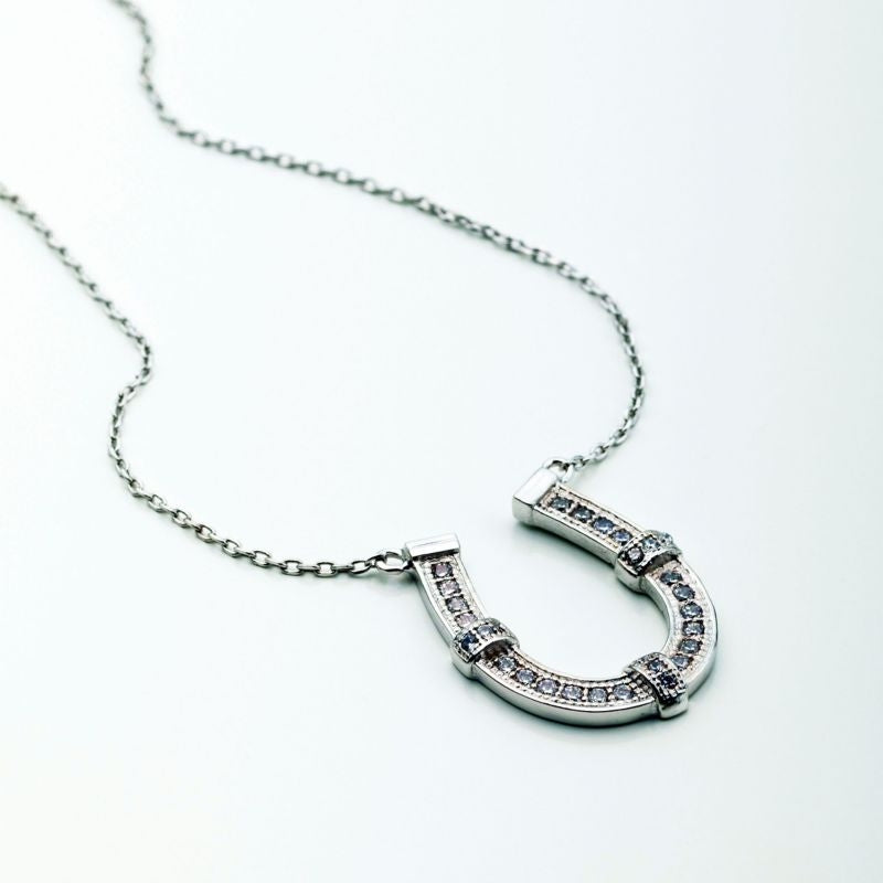 Horseshoe Encrusted with Clear CZ Necklace Steel