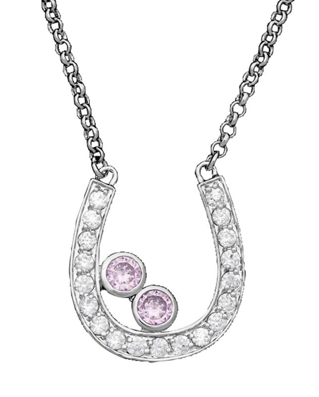 Montana Treasure Finder Pink Horseshoe Necklace