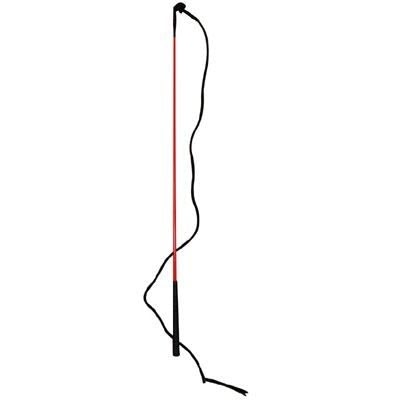 Training Stick Org