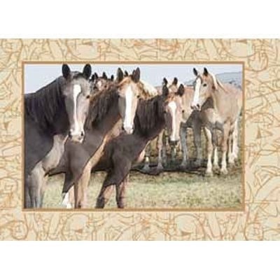 Spill Resistant Placemats - Colts