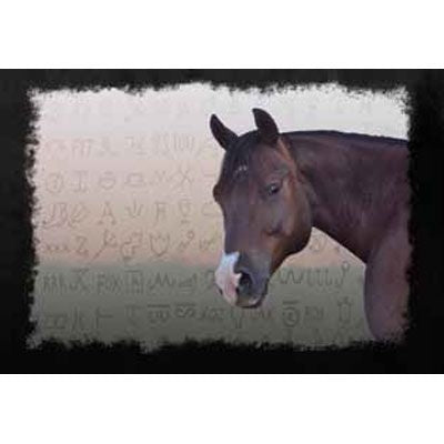Spill Resistant Placemats - Pokey/Brands
