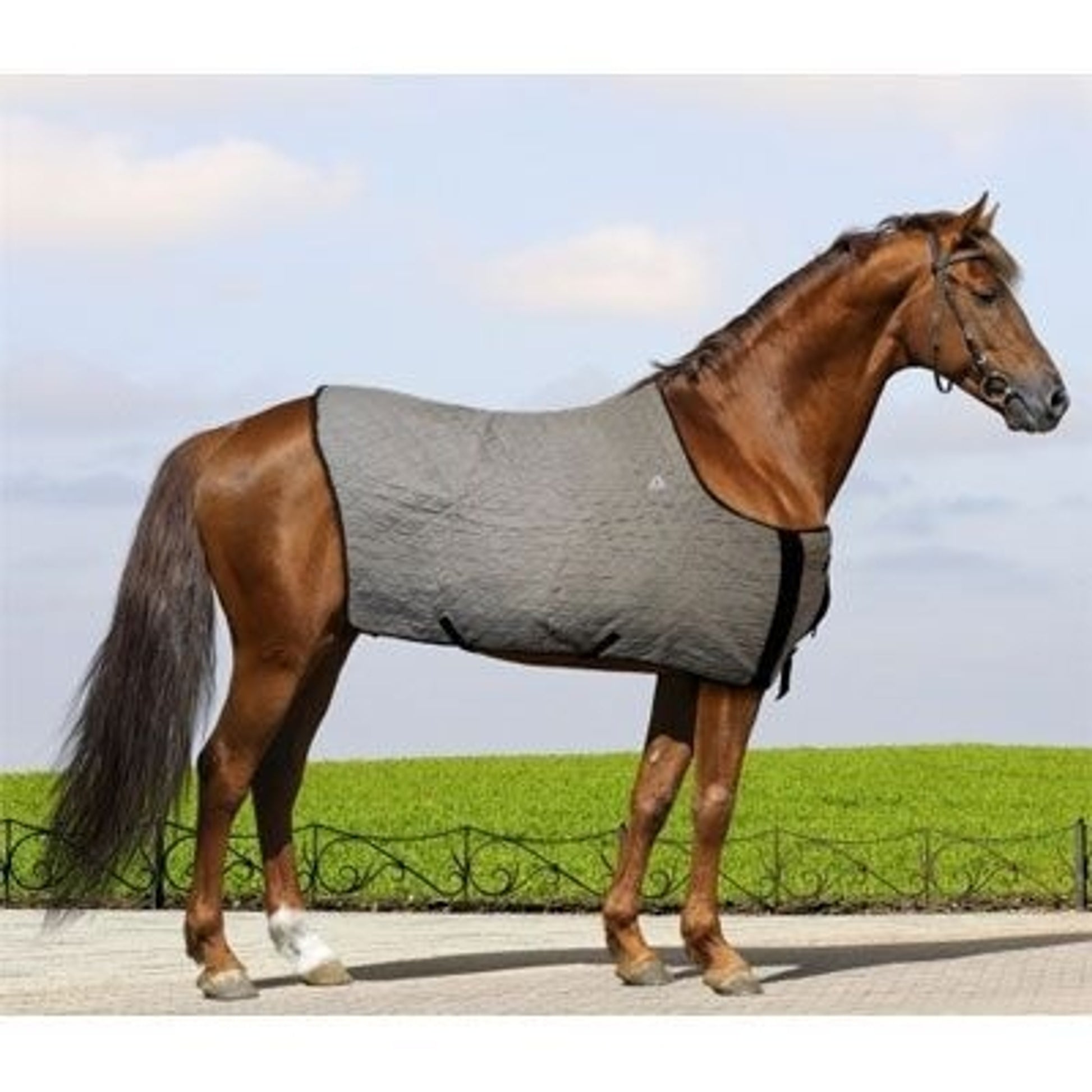 Techniche HyperKewl Horse Cooling Blanket