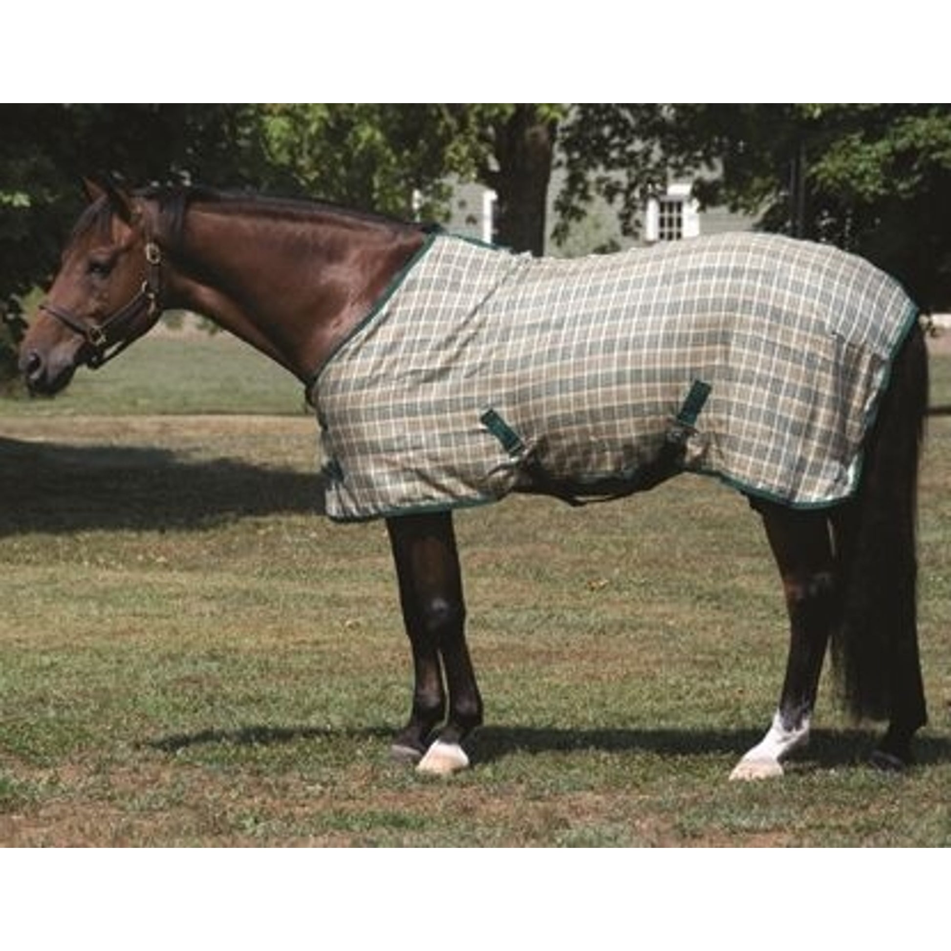 High Spirit Plaid Day Sheet 78 Green