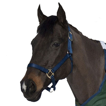 Nylon Halter Cob Navy